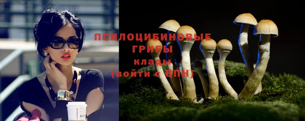 дживик Алзамай
