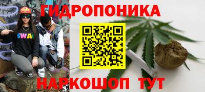 apvp Кандалакша