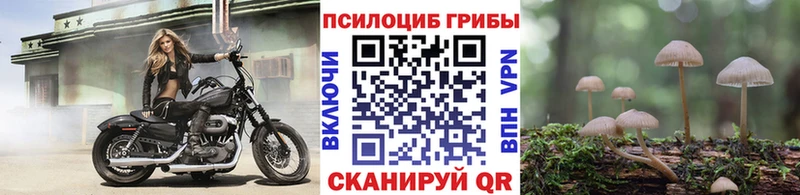 Галлюциногенные грибы ЛСД это состав Чебоксары kraken как зайти