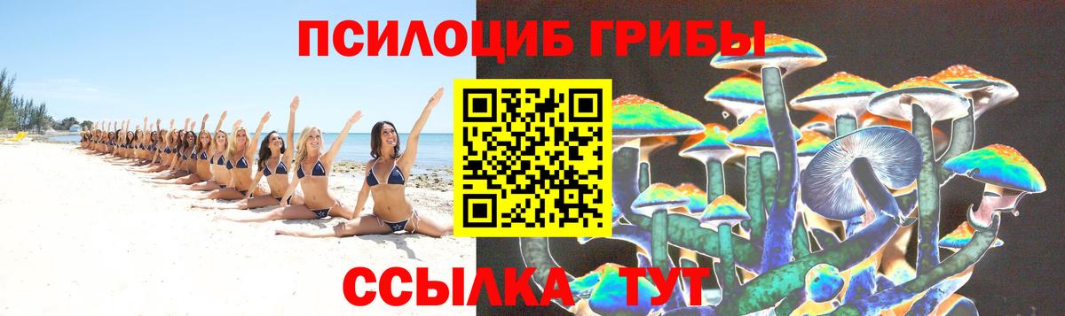 Псилоцибиновые грибы Cubensis  Вход с VPN  Чебоксары  Псилоцибиновые грибы прущие грибы 